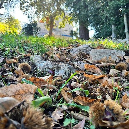 Il Trullo E Il Fortino ألبيروبيللو المظهر الخارجي الصورة