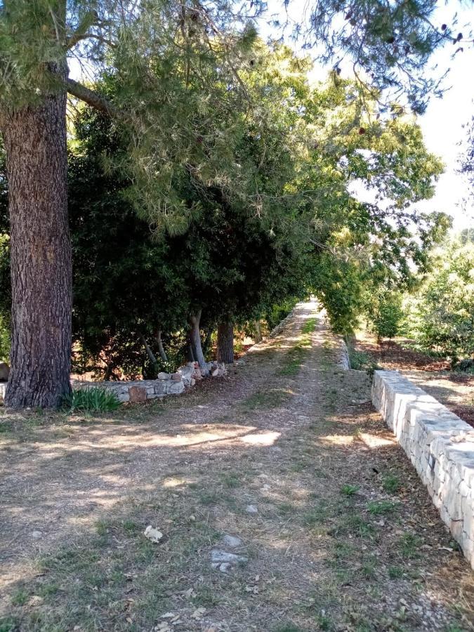 Il Trullo E Il Fortino ألبيروبيللو المظهر الخارجي الصورة