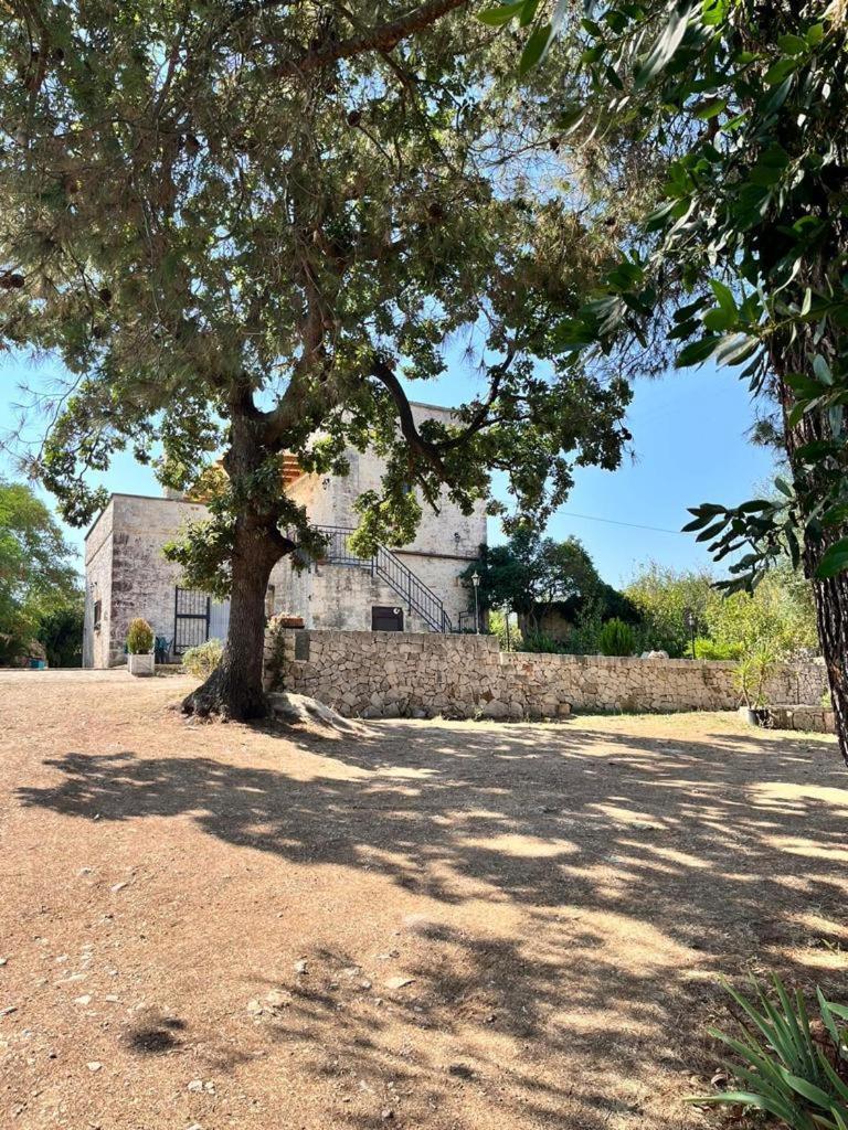 Il Trullo E Il Fortino ألبيروبيللو المظهر الخارجي الصورة