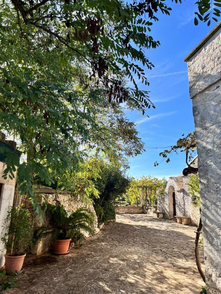 Il Trullo E Il Fortino ألبيروبيللو المظهر الخارجي الصورة